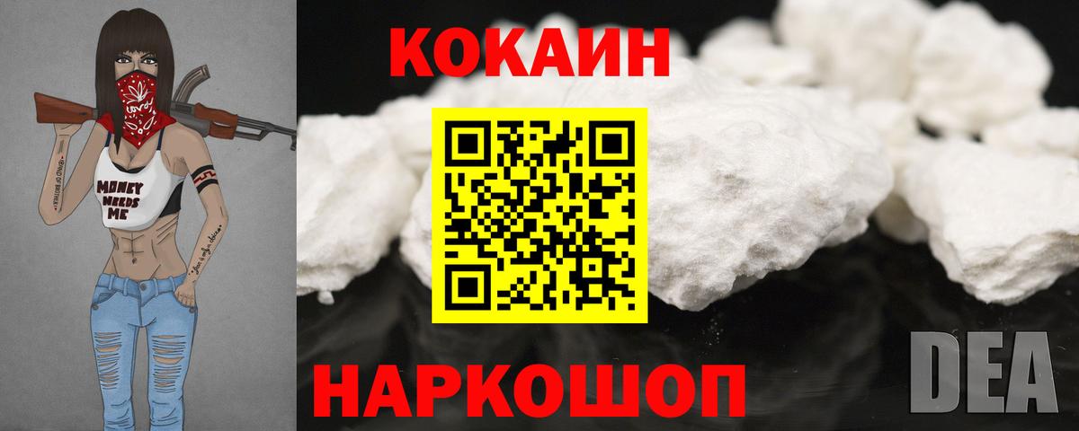 Новозыбков  продажа наркотиков  КОКАИН Fish Scale  COCAIN  Вход с VPN  COCAIN Боливия 
